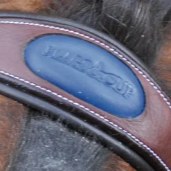 Flags & Cup - Bridon combiné Paris avec rênes marron/ bleu Havane Clearance