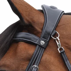 New Flags & Cup - Bridon Comfort combiné avec rênes Noir