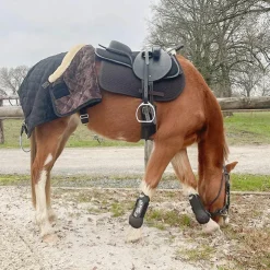 Online Flags & Cup - Bridon Comfort combiné avec rênes Havane