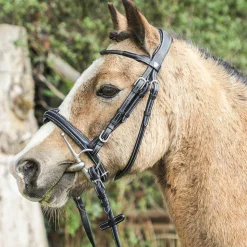 Flags & Cup - Bridon Doha avec rênes Noir Outlet