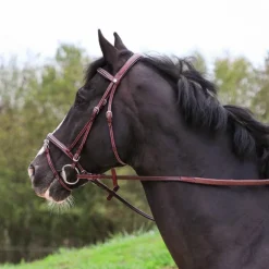 Flags & Cup - Bridon Helsinki avec rênes marron Havane Hot