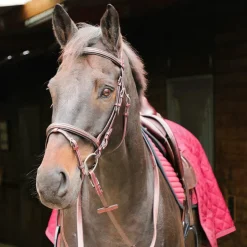 Flags & Cup - Bridon Helsinki avec rênes marron Havane Hot