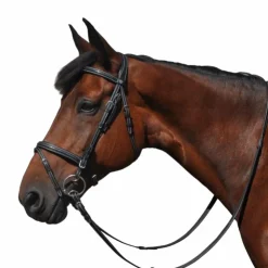 Flags & Cup - Bridon Helsinki avec rênes Noir