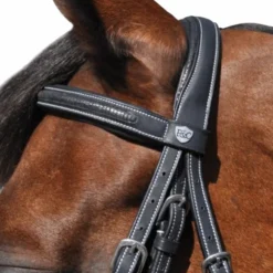 Flags & Cup - Bridon Helsinki avec rênes Noir