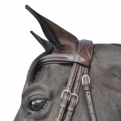 Flags & Cup - Bridon Hickstead avec rênes marron Havane Discount