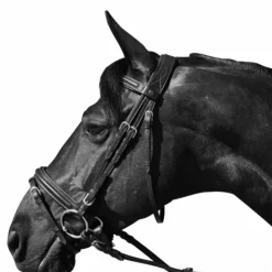 Discount Flags & Cup - Bridon Hickstead avec rênes Noir