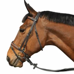 Flags & Cup - Bridon Oslo avec rênes Noir Discount