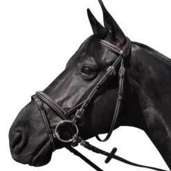 Clearance Flags & Cup - Bridon Wellington avec rênes marron Havane