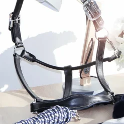 Flags & Cup - Licol cheval Cuir Paris /marine Noir New