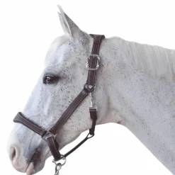 Flags & Cup - Licol cheval Cuir Paris /marine Marron Discount