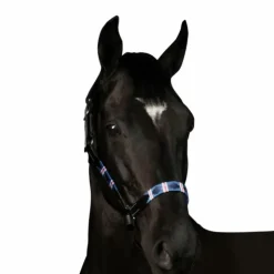 Hot Flags & Cup - Licol Chukka noir / marine / blanc / rouge