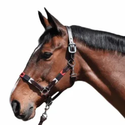 Hot Flags & Cup - Licol Chukka moka / bleu / rouge