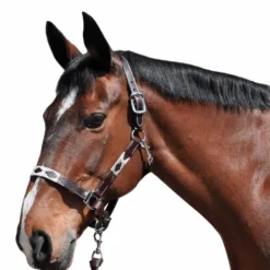 Flags & Cup - Licol Chukka moka / choco / taupe Sale