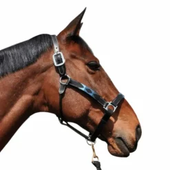 Hot Flags & Cup - Licol Chukka noir / marine / ciel