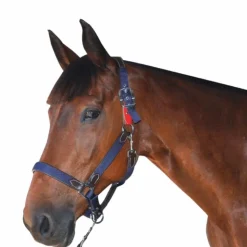 Flags & Cup Flags&Cup - Licol de sécurité Discount