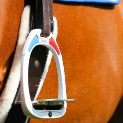 Flex On - Stickers Pays France Online