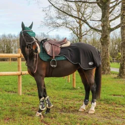 Outlet Flex On - Stickers Silver vert anglais