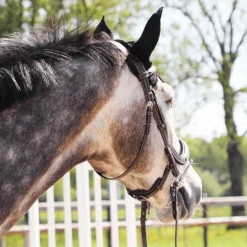 Freejump - Bonnet pour cheval / Rouge Noir Online