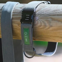 GEM - Collier + laisse pour chien kaki Vert Discount