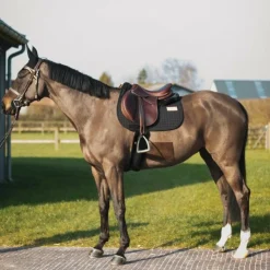 GEM - Tapis de selle Leo Noir Clearance