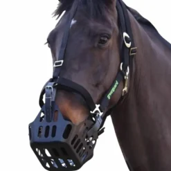 Hot Greenguard - Panier Thérapeutique Noir