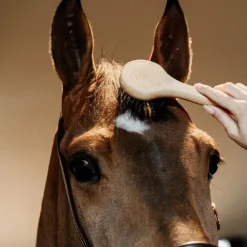 Grooming Deluxe - Brosse à crins Beige Online