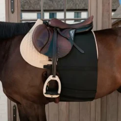 Discount Grooming Deluxe - Ceinture ventrale pour cheval Noir