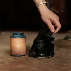 Grooming Deluxe - Huile de brillance pour sabots noir Discount