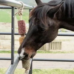 Grooming Deluxe - Jouet en bois relaxant pour cheval De-Stress Discount