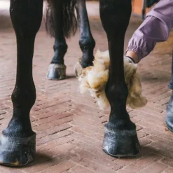 Grooming Deluxe - Laine thérapeutique Blanc New