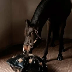 Hot Grooming Deluxe - Sac à foin Play & Slowfeeder Rond Noir