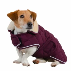 Harcour - Couverture pour chien Rocket violine 0g Prune