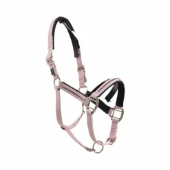 Sale Harcour - Ensemble licol et longe Amour pivoine Rose