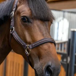 Harcour - Ensemble licol et longe Amour cacao Marron New