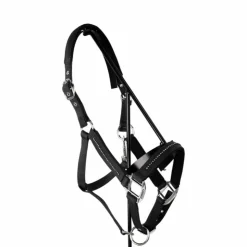 Best Harcour - Ensemble licol et longe Amour Noir