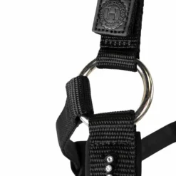 Best Harcour - Ensemble licol et longe Amour Noir