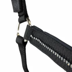 Best Harcour - Ensemble licol et longe Amour Noir