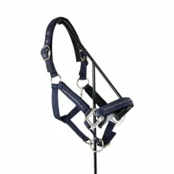 Sale Harcour - Ensemble licol et longe Amour Marine