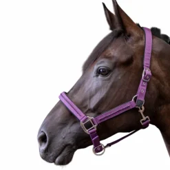 Hot Harcour - Ensemble licol et longe Amour figue Violet