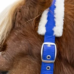 Harcour - Licol et longe Teschic électrique Bleu Online