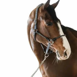 Hot Harcour - Licol pour chevaux Honey foncé Gris