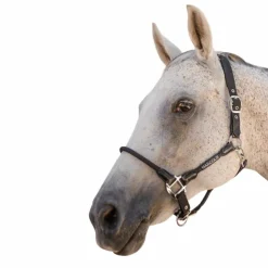 New Harcour - Licol pour chevaux Honey Noir