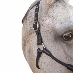 New Harcour - Licol pour chevaux Honey Noir