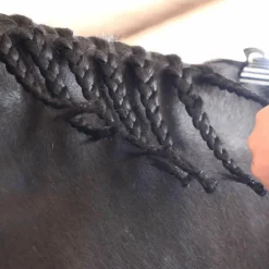 Hot Hippotonic - 450 élastiques silicone Noir