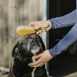 Hippotonic - Etrille à vapeur avec manche taupe Marron Hot
