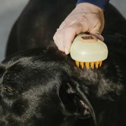 Hippotonic - Etrille à vapeur crème Beige Hot