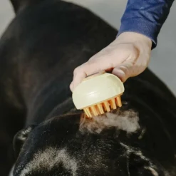 Hippotonic - Etrille à vapeur crème Beige Hot