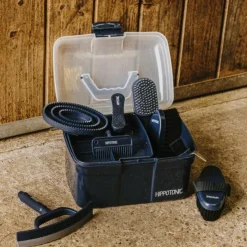 Hippotonic - Etrille pailletée Bleu Online