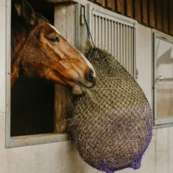 Hot Hippotonic - Filet à foin fin et violet Noir