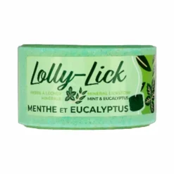 Hippotonic - Pierre à sel Lolly-Lick menthe eucalyptus 700g